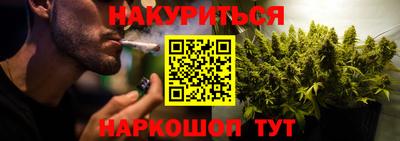 прущие крисы Бийск